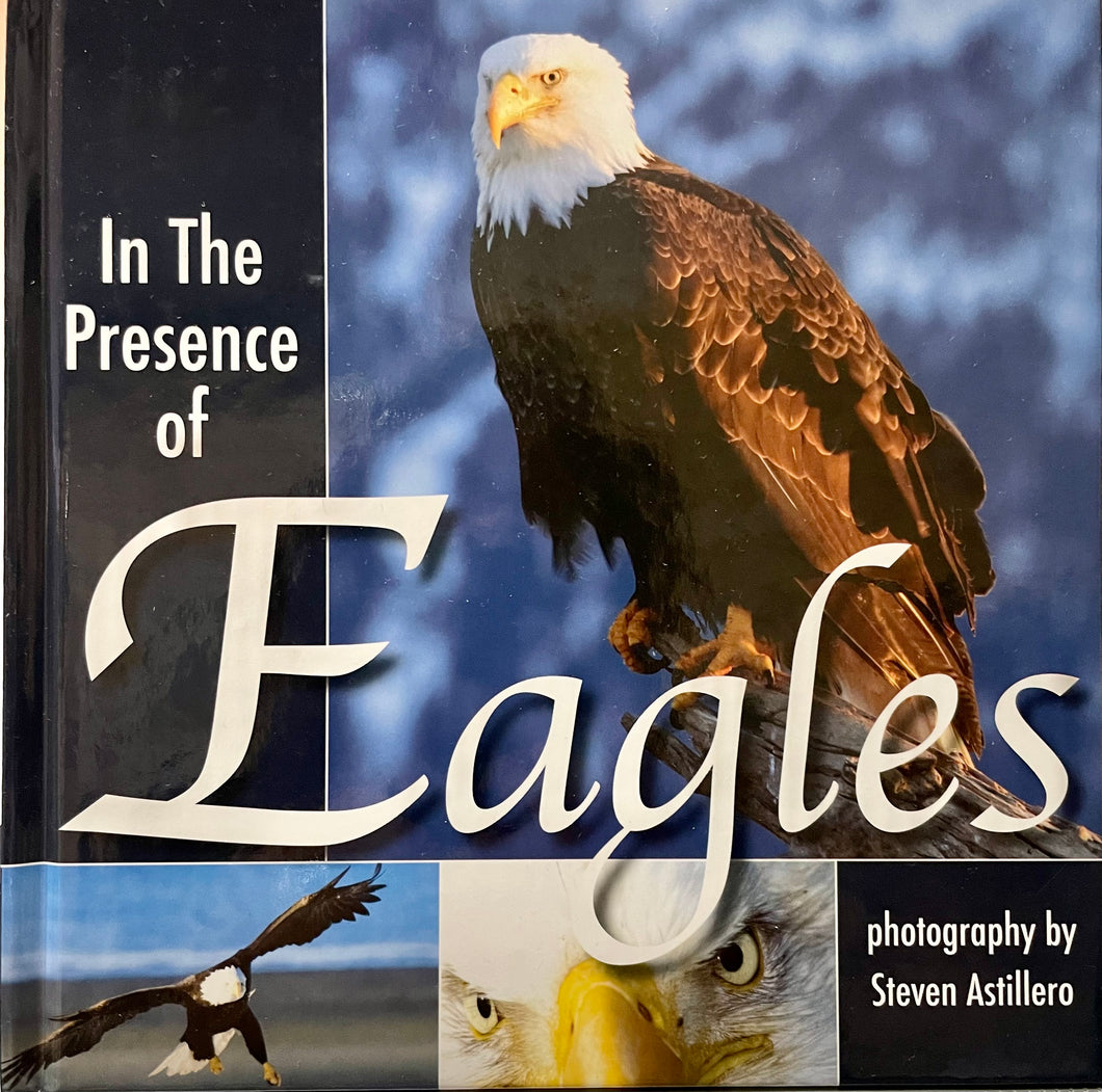 In the Presence of Eagles by Steven Astillero