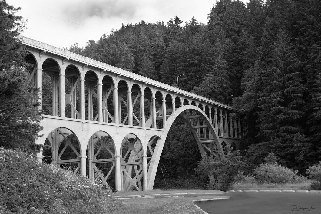 Cape Creek Bridge print by Dayna Law